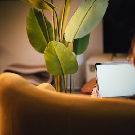 打造完美私人廚房的全方位指南