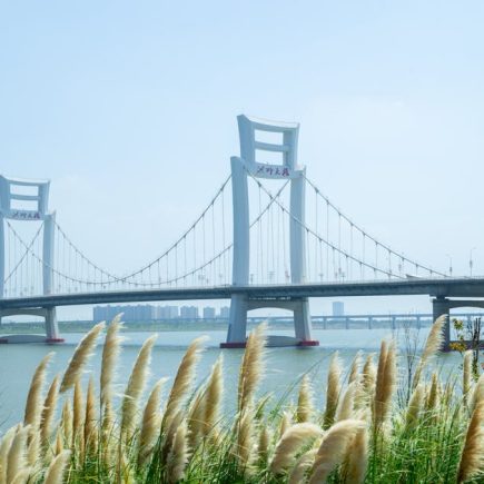 矽谷電波的文化魅力與影響力探討