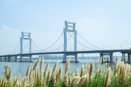 矽谷電波的文化魅力與影響力探討