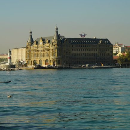香港寵物友善酒店的選擇與注意事項