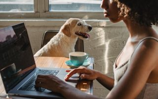 結紮手術：關鍵選擇，安心無憂