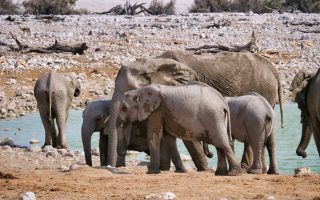 中菜的魅力與文化價值