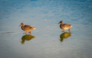 乳癌治療費用：揭示背後的專業與真相