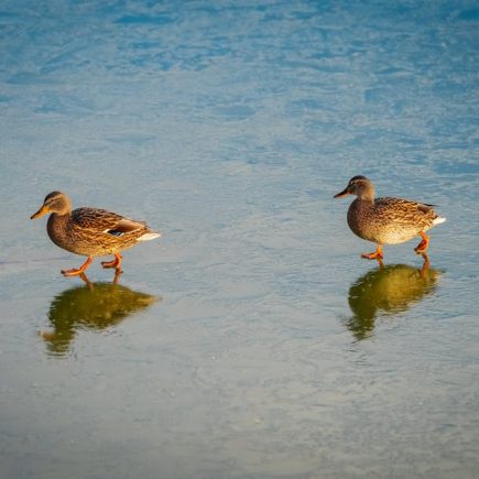 乳癌治療費用：揭示背後的專業與真相