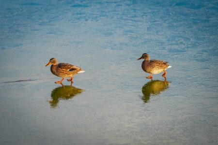 乳癌治療費用：揭示背後的專業與真相