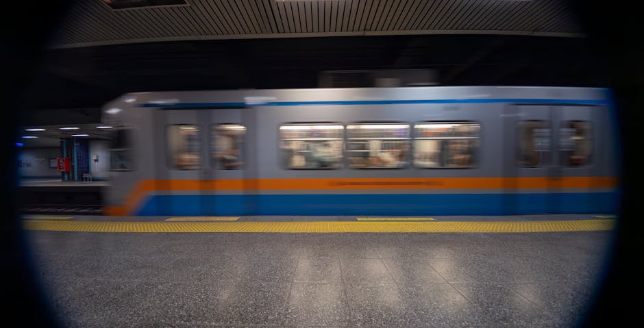 頭皮癢那些事：笑談香港人的抓癢日常